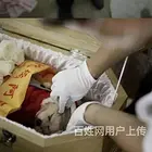 乌鲁木齐大小型宠物火化,乌鲁木齐宠物火化价格