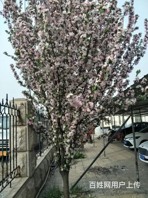大润发对面三楼出租的图片