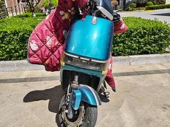 赛鸽风神电动车