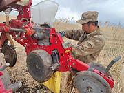 出售勃宏玉米指夹4行免耕机