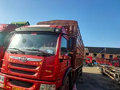 高栏 平板车
