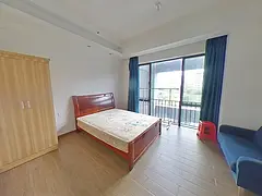 整租碧桂园星港国际 1室1厅 北