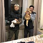 新乡找猫，专业找猫十年团队全国实地寻猫
