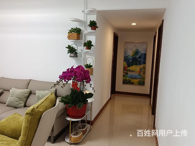 城市一线海景房的图片