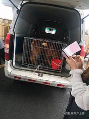 镇平宠物托运{猫狗长途搬家}活体快速邮寄安全高效全国连锁