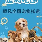 2022/开封市宠物托运（猫狗）邮寄快递（宠物活体运输