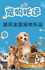 今日/推荐) 织金县出发到全国宠物托运/猫狗全程专人看护