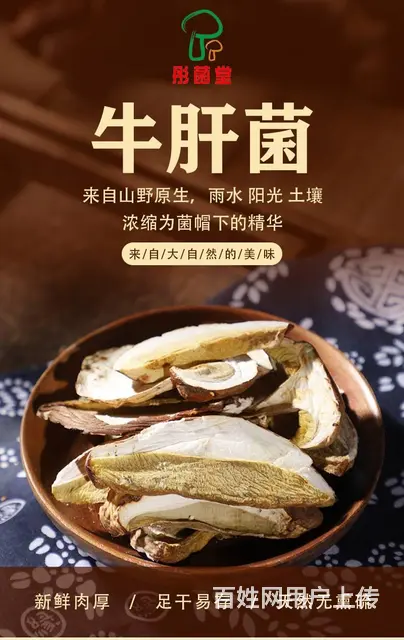 野生菌科普：黄牛肝菌的图片