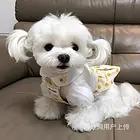 【货到付款】池州马尔济斯犬哪里有 完美马尔济斯血统赛级挑选