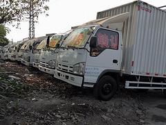出售大批量五十铃货车