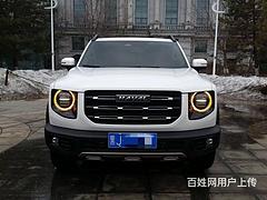 哈弗大狗边牧