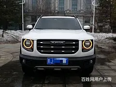 哈弗大狗边牧
