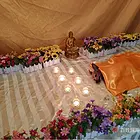 乌鲁木齐十年宠物殡葬服务老店,乌鲁木齐哪里有宠物殡葬公司