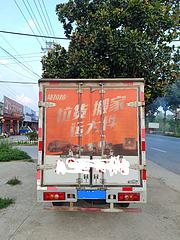 金杯 领骐 厢式货车 国6
