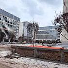 157/227/399/600平园区写字楼出租，10元/平