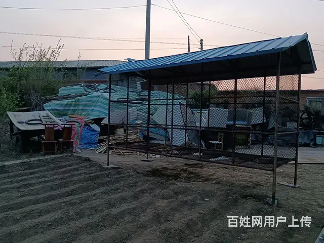 玉米仓子的图片