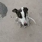 急售