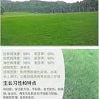 池州哪里有草籽供应商