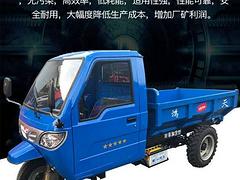 农用柴油三轮车工程自卸爬山虎后翻斗五征同款宁波