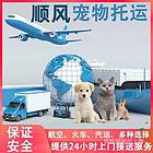 西峡县 宠物托运 空运,陆运承接猫狗金毛活体邮寄运输服务