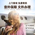 定西宠物托运官网　24小时在线咨询