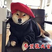 济源柴犬犬舍基地常年出售纯种柴犬双血柴犬幼犬