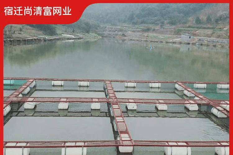 养鱼网箱平台搭建方案