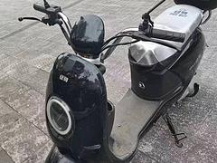 龙泉有绿驹新国标电动车出售