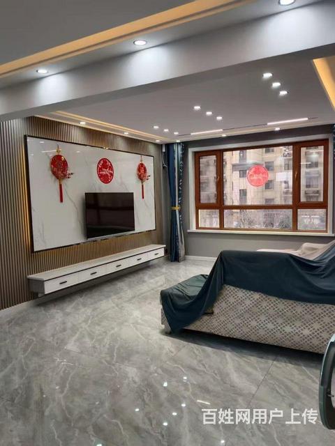 不带宠物的图片