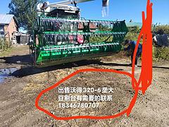 出售六龙大豆，瑶台沃德320用