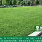 衡阳值得相信的草籽畅销全国