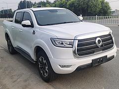 长城 炮 2019款 2.0T 自动 四驱运动版小双