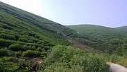 长兴洪桥优质茶叶山转让
