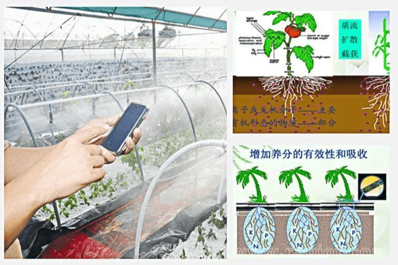 大棚智能灌溉系统