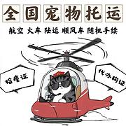 推荐） 宁波象山宠物托运到全国）（猫狗）邮寄快递（宠物活体运