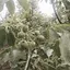 小百姓0831198070191
