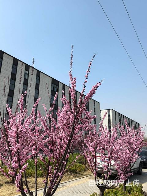 全款106万买400平临街大产权厂房的图片