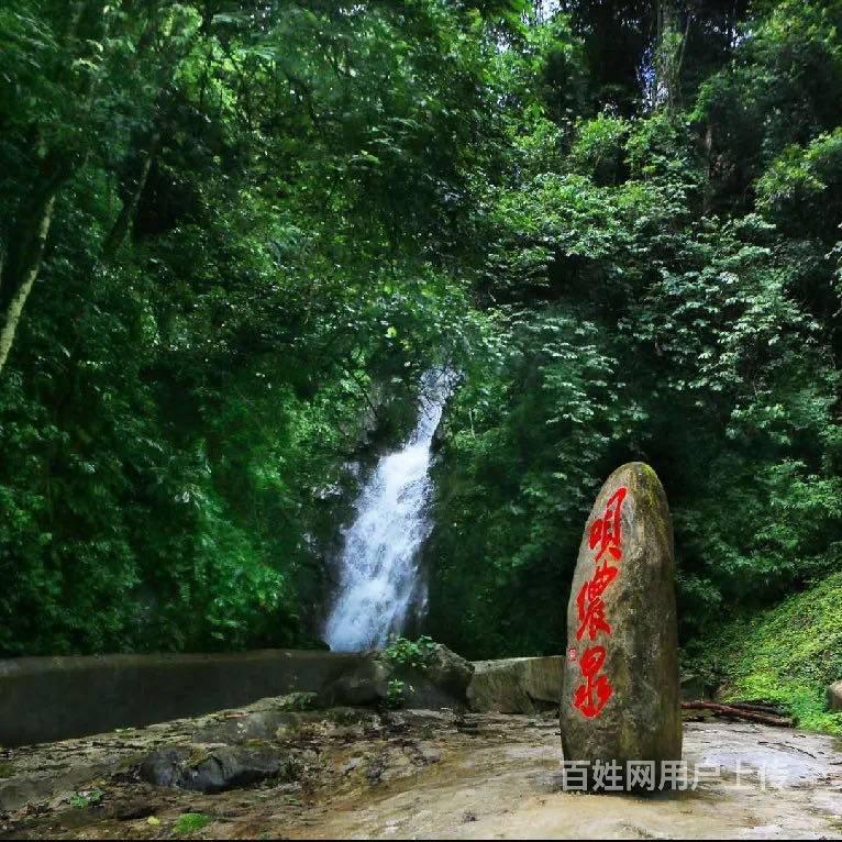 大庆呗侬山泉经销商在哪里 新村呗侬营销中心