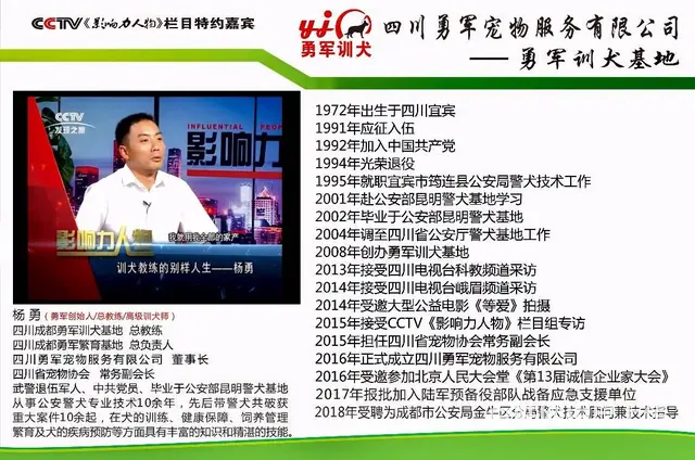 成都寄养狗狗-成都寄养宠物-勇军狗狗长期寄养的图片