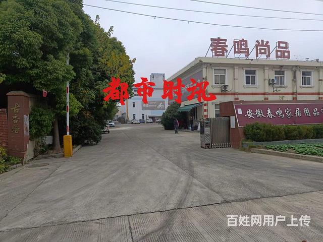 【都市时讯 优选推介】龙子湖中环线古杏路厂房仓库出租的图片