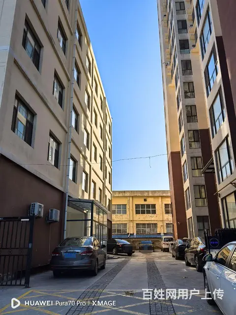 福熙巷桐景花园二期F座整层出租的图片