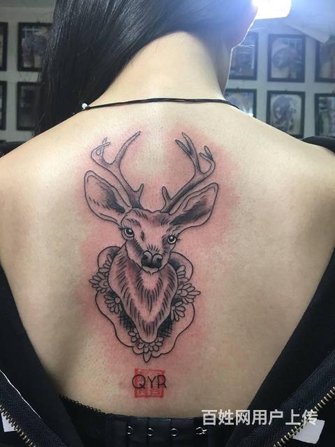 动物纹身手稿#麋鹿纹身#吴江 酷客纹身