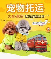 包头宠物托运公司，宠物狗托运价格，电话联系