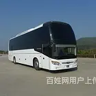 焦作宠物托运*猫狗宠物空运*陆运上门接送