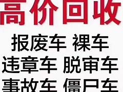 安驰 杰豹 2010款 2.0 手动