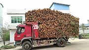 东风柳汽 自卸车 国5