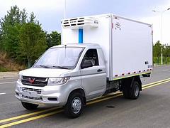 五菱荣光新卡后双胎冷藏车 蔬菜水果海鲜冻品保温车