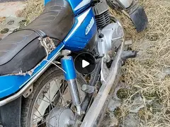 经典款金城铃木100