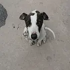 急售