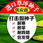信阳哪里卖高羊茅供应商
